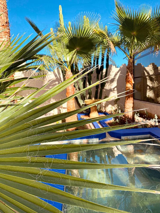 Maison Daouia Ouled Jelal ภายนอก รูปภาพ