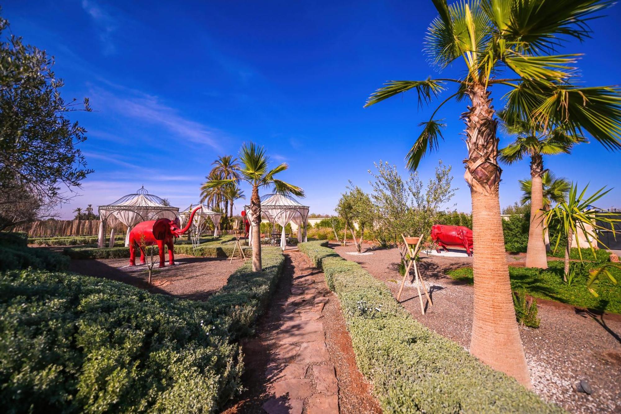 Maison Daouia Ouled Jelal ภายนอก รูปภาพ